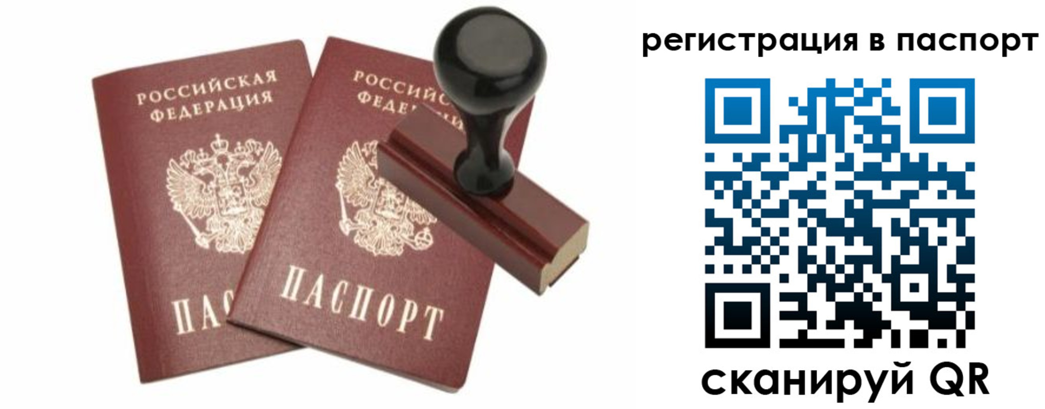 прописка для работы в Нелидово